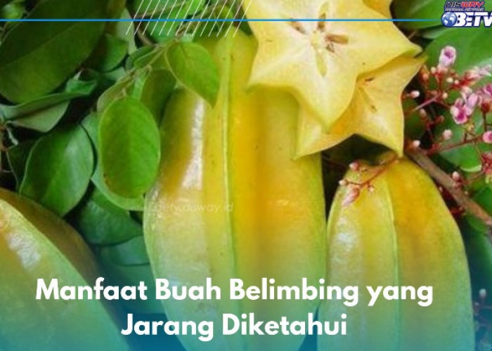 Buah Belimbing Ampuh Mencegah Maag Kambuh, Cek Manfaat Lainnya