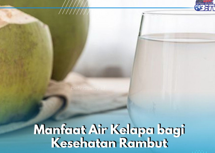 Ampuh Mencegah Rambut Rontok, Ini Manfaat Lain Air Kelapa yang Perlu Diketahui