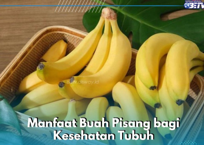 Ampuh Menurunkan Berat Badan, Cukup Konsumsi Buah Pisang Ini Secara Rutin