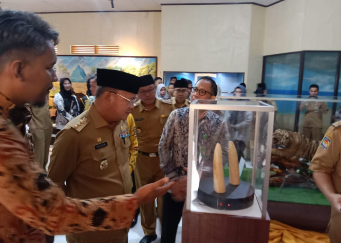 Museum Negeri Bengkulu Gelar Pameran Senjata Tradisional, Ada Senjata Pra Sejarah Masih Terawat