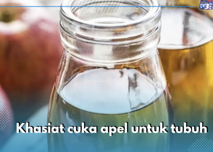 10 Khasiat Luar Biasa Cuka Apel untuk Tubuh, Nomor 6 Tumpas Perut Buncit