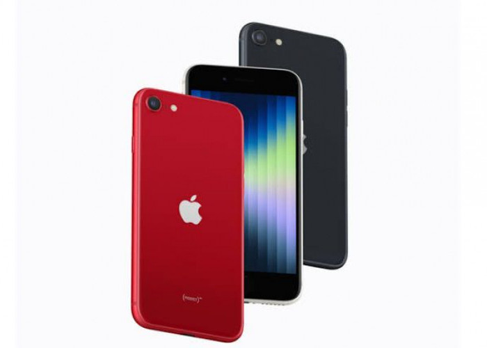 Berikut Spesifikasi dan Harga iPhone SE 3 Hari Ini Kamis 21 Maret 2024, Salah Satu HP Apple Termurah di iBox