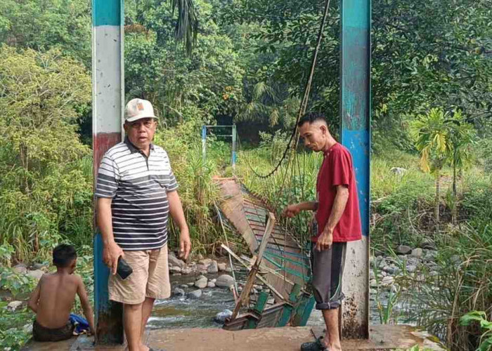 Jembatan Gantung Desa Rindu Hati Ambruk, Akses ke Ratusan Hektare Sawah dan Kebun Terputus