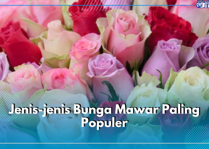 10 Jenis Bunga Mawar Paling Populer, Ada Hybrid Tea hingga Mawar Damask