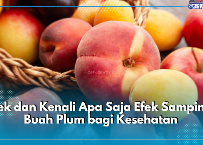 Cek dan Kenali Apa Saja Efek Samping Buah Plum bagi Kesehatan