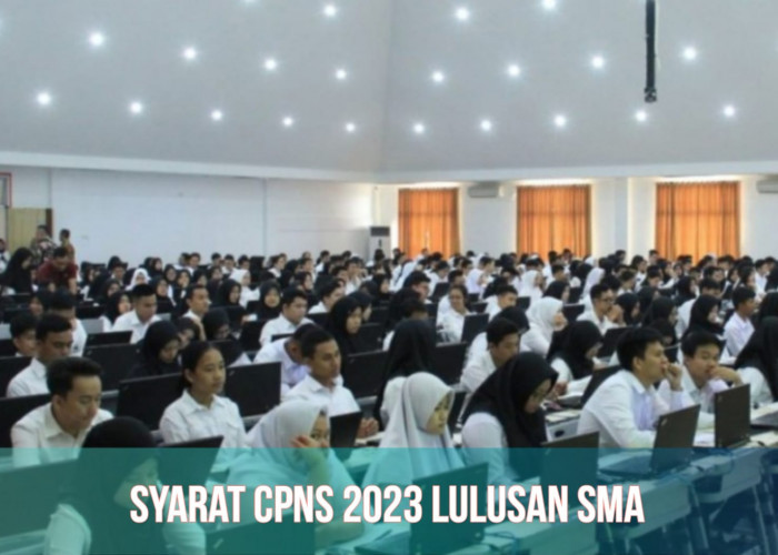 Formasi CPNS 2023, Lulusan SMA Bisa Daftar, Cek Syarat Pendaftaran Selengkapnya