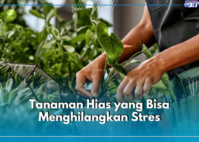 5 Jenis Tanaman Ini Bisa Bantu Hilangkan Stres, Yuk Tanam di Rumah!