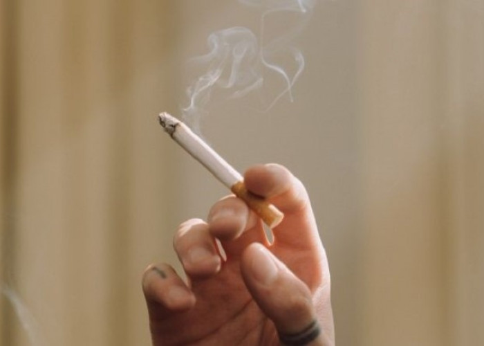 Harga Rokok Resmi Naik, Siap-siap Kantong Terkuras 