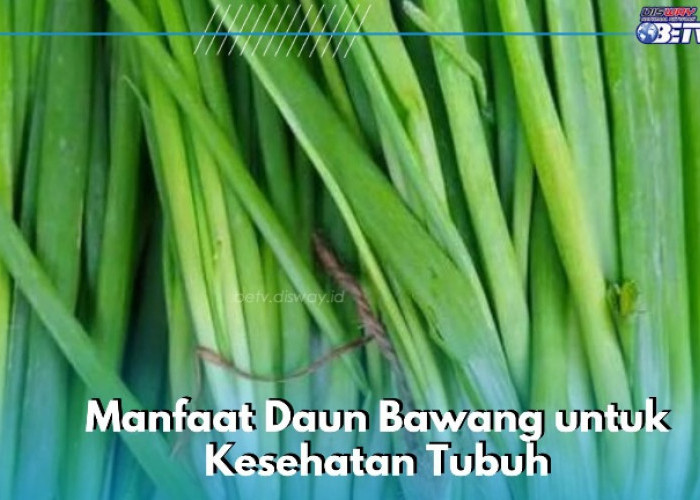 Daun Bawang Ampuh Mencegah Infeksi, Ini 7 Manfaat yang Perlu Diketahui