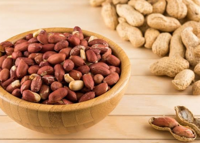 Penderita Asam Urat Dilarang untuk Konsumsi Kacang Tanah, Cek Kelompok Lainnya Disini!