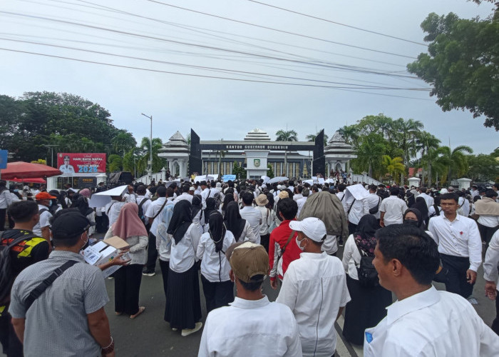 Ribuan Honorer Demo karena Dirumahkan, Begini Kata Kepala BKD Provinsi Bengkulu