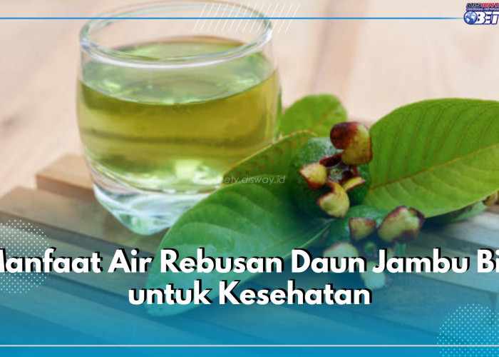 6 Manfaat Air Rebusan Daun Jambu Biji untuk Obat Herbal, Bisa Obati Diare hingga Turunkan Gula Darah