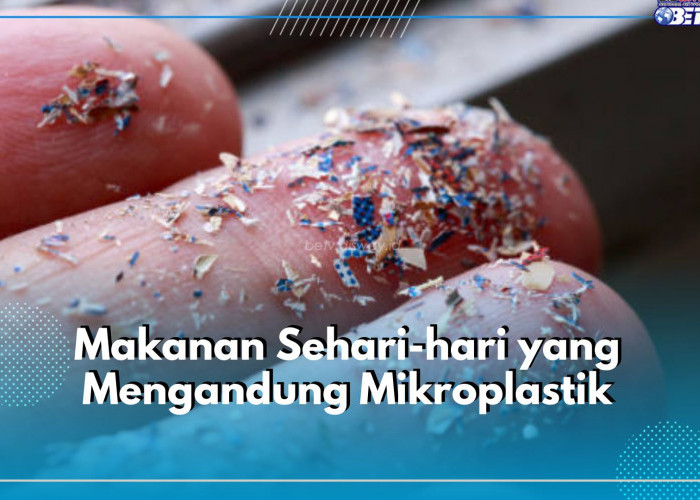 Hati-hati, 7 Makanan Sehari-Hari Ini Ternyata Berisiko Mengandung Mikroplastik, Apa Saja?