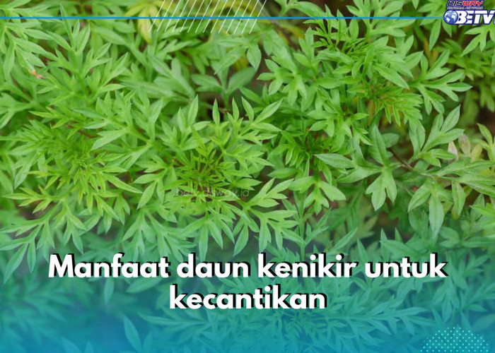 Cerahkan Kulit hingga Halau Mata Panda, Ini 6 Manfaat Daun Kenikir untuk Kecantikan