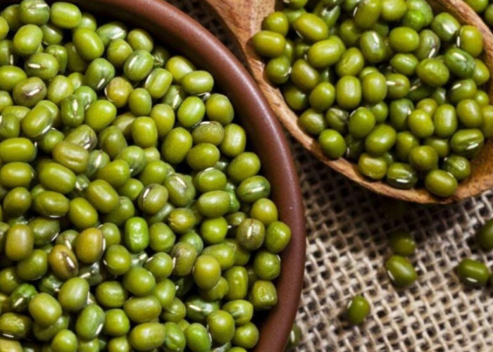 Cek Manfaat Kacang Hijau bagi Kesehatan, Bisa Bantu Melancarkan Pencernaan