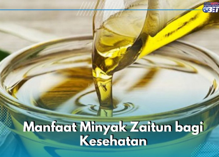 Cocok untuk Kulit Kering, Ini Deretan Manfaat Minyak Zaitun yang Sayang Dilewatkan