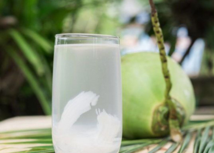 Cek Minuman yang Direkomendasikan untuk Diare, Bisa Bantu Cegah Dehidrasi