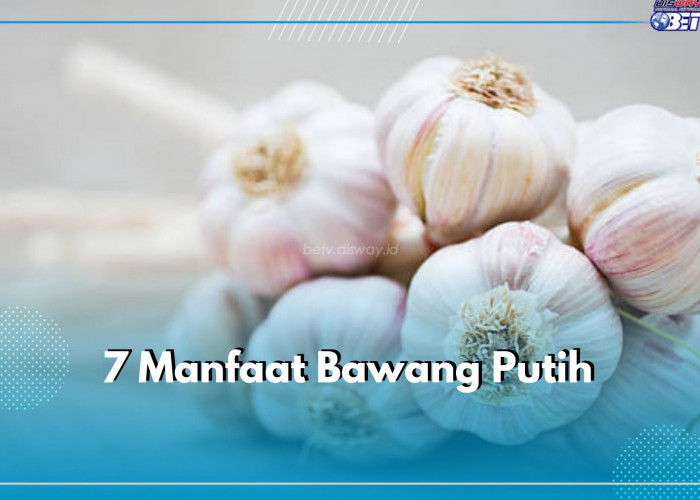 7 Manfaat Bawang Putih, Ini Wajib Kamu Ketahui, Cek Kandungan Nutrisi di Sini