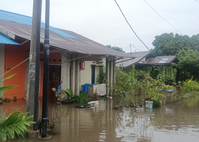 463 Rumah Terendam Banjir di 5 Kecamatan Kota Bengkulu