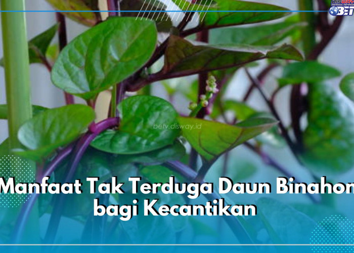 Lama Digunakan Sebagai Obat Herbal, Ini Dia 6 Manfaat Tak Terduga Daun Binahong bagi Kecantikan