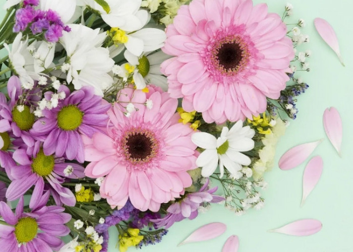 Ini Arti Dibalik Warna Putih Hingga Biru dari Bunga Aster, Bikin Penasaran Kan?
