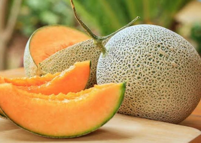 Diperkaya Kandungan Baik, Berikut 10 Manfaat Buah Melon untuk Kesehatan, Nomor 6 Belum Banyak yang Tahu! 
