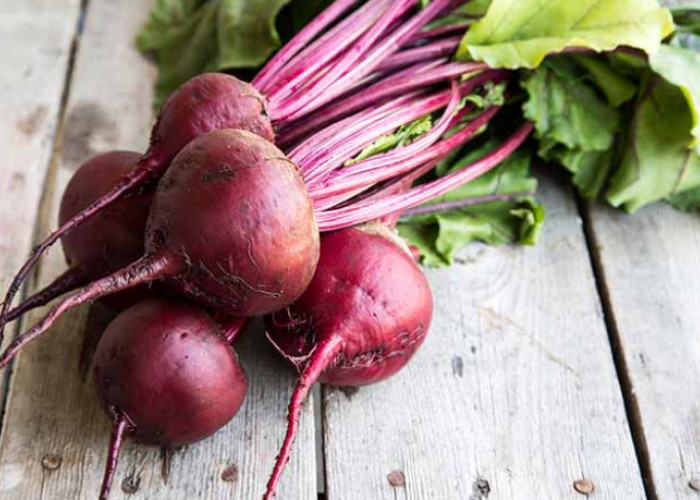 Cek Sekarang! Kandungan Nutrisi dan Manfaat Buah Bit untuk Kesehatan Tubuh