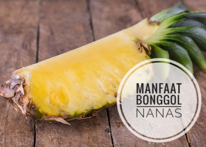 Jangan Buang Bonggol Nanas , Banyak Khasiatnya, Cek di Sini Kandungan dan Ragam Manfaatnya