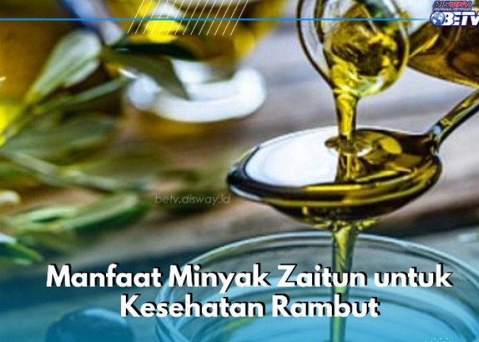 Minyak Zaitun Bikin Rambut Sehat Alami, Ini Manfaat Lengkapnya di Sini
