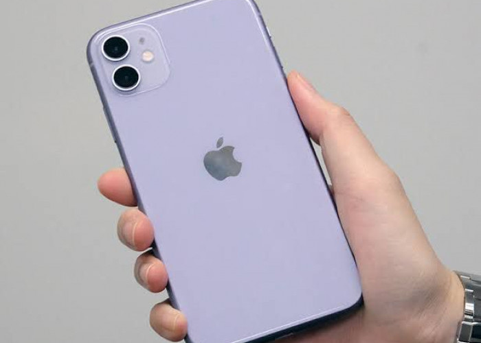Berikut Spesifikasi, Fitur dan Rincian Harga iPhone 11 Akhir Februari 2024, Masih Worth It Tidak?