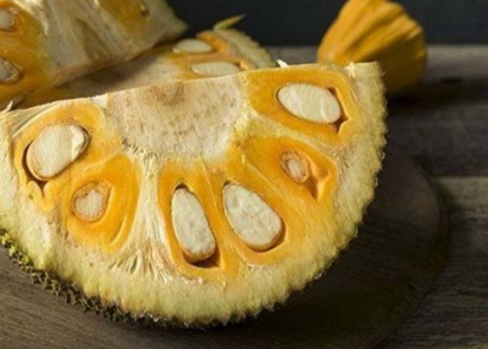 Miliki Aroma yang Menggoda, Inilah Segudang Manfaat Buah Nangka untuk Kesehatan 
