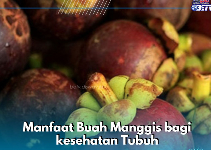 Manfaat Konsumsi Buah Manggis Sehari-hari, Dipercaya Mampu Menjaga Kesehatan Kulit, Cek di Sini!