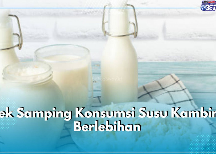 Awas! Ini 5 Efek Samping Konsumsi Susu Kambing Berlebihan, Bisa Sebabkan Masalah Ginjal