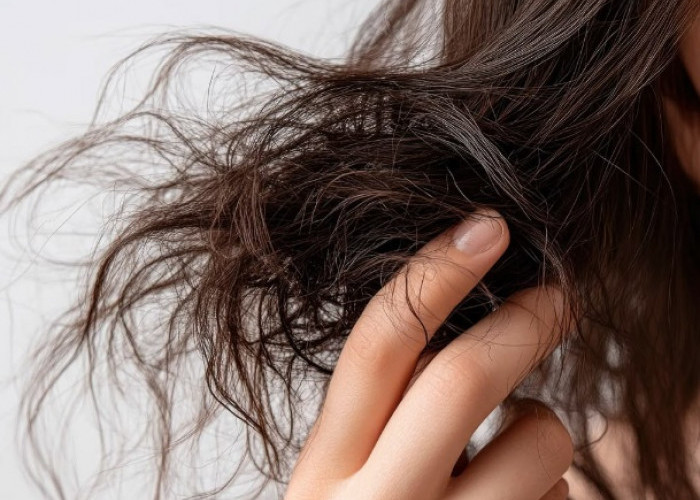 Lembut dan Mudah Diatur, Cara Mengatasi Rambut Kering dan Mengembang
