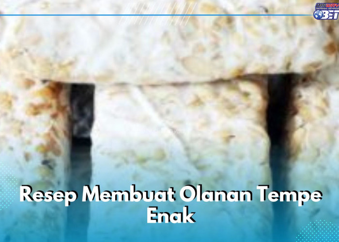 3 Resep Membuat Olahan Tempe Enak Tanpa Tepung, Auto Bikin Ketagihan