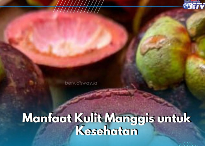 Perlu Tahu! Ini Manfaat Kulit Manggis bagi Kesehatan, Pakai untuk Mengencangkan Kulit