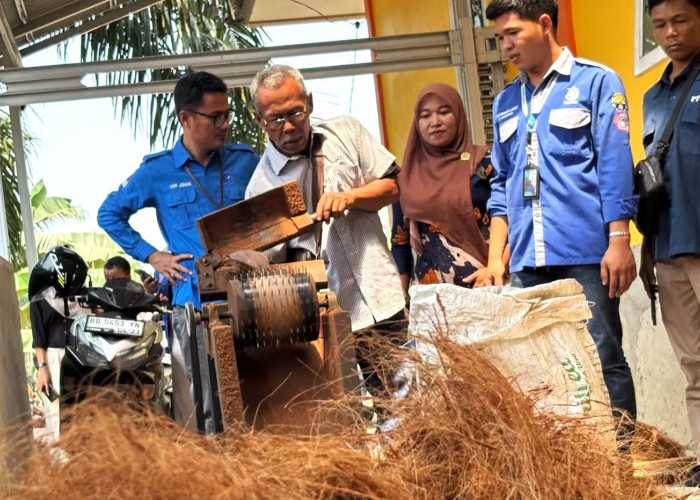 UNIB Olah Limbah Sabut Kelapa Jadi Media Tanam hingga Briket