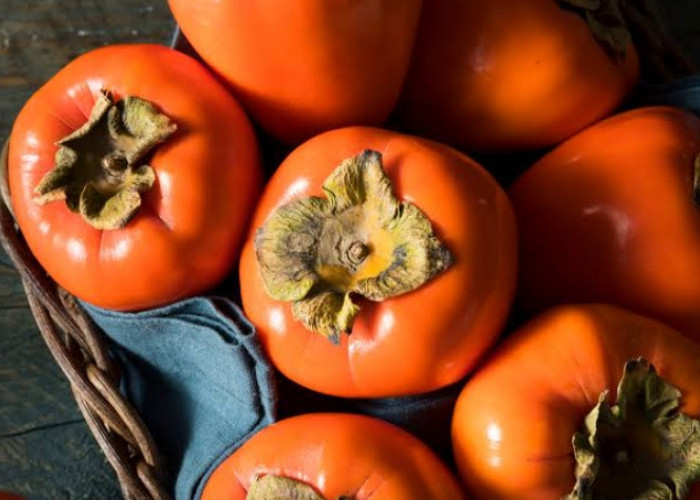 Miliki Asal dari Tiongkok dengan Ketinggian 70 Kaki, Inilah Fakta Unik yang Tersimpan dalam Buah Kesemek 