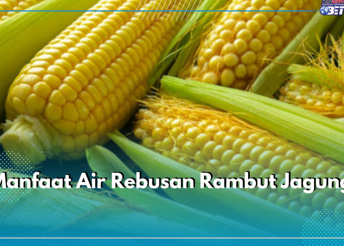 Jangan Dibuang, Rambut Jagung Ampuh Mengobati 6 Masalah kesehatan Ini, Cek Manfaat Air Rebusannya