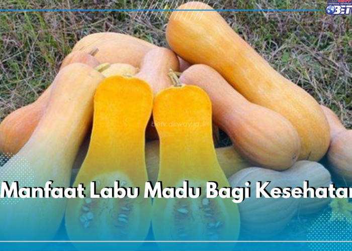 8 Manfaat Labu Madu Bagi Kesehatan, Baik Menjaga Mata hingga Mengurangi Risiko Kanker, Cek di Sini!