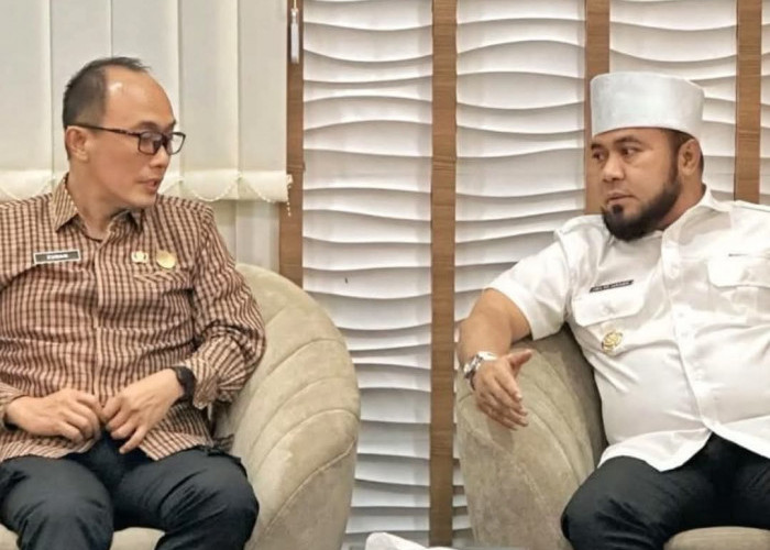 Gubernur Helmi Hasan Audensi Bersama BKN Bahas Persoalan ASN hingga PPPK