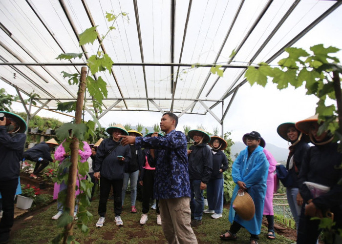 Aksi Hijau Kampung Berseri Astra Suntenjaya Terapkan Pertanian Ramah Lingkungan