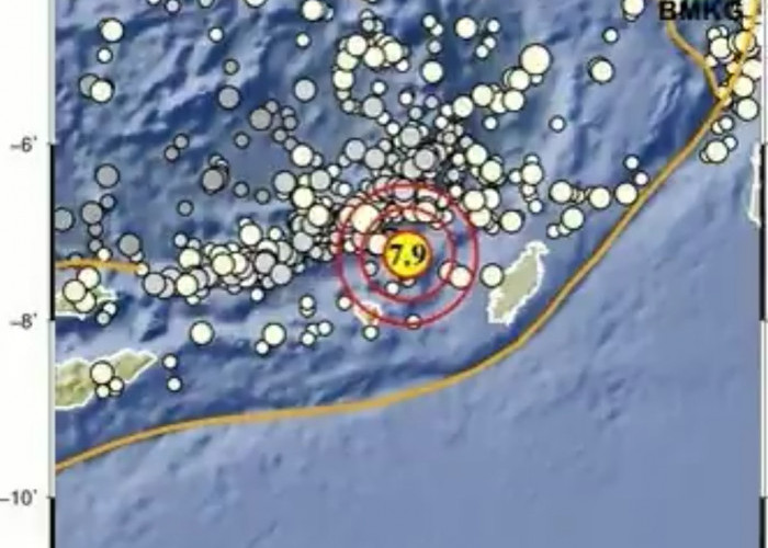 Gempa M 7,5 Guncang Maluku, Sempat Ada Peringatan Dini Tsunami