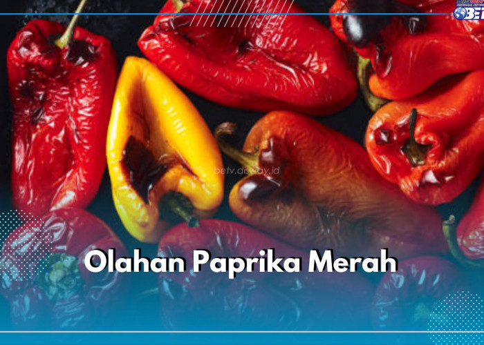 Resep Olahan Paprika Enak dan Mudah Dibuat, Pas di Lidah Kamu