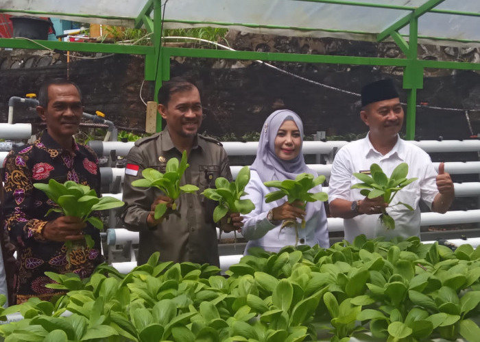 BSIP Genap 1 Tahun, Dinas TPHP: Bersinergi dengan Pemprov Bengkulu Majukan Pertanian