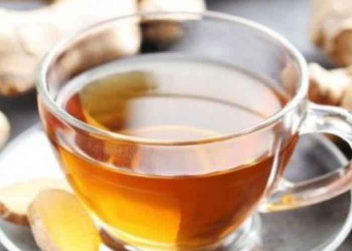 Perlu Tahu, Rekomendasi Minuman Herbal untuk Kesehatan Tubuh, Enak dan Cocok Dikonsumsi Sehari-hari