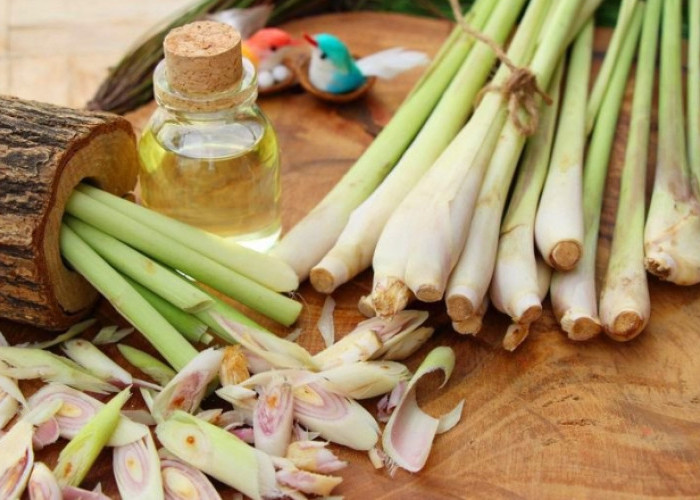 5 Manfaat Konsumsi Sereh Bagi Kesehatan Tubuh Anda, Cek Disini!