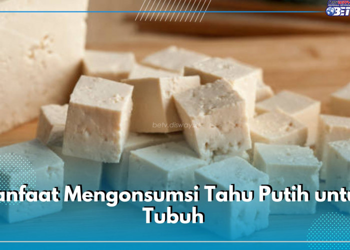 Biasa Jadi Menu Makanan Sehat, Ini Sederet Manfaat Mengonsumsi Tahu Putih untuk Tubuh