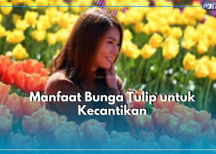 Bukan Hanya Indah Dipandang Mata, Cek Manfaat Istimewa Bunga Tulip untuk Kecantikan Kulit