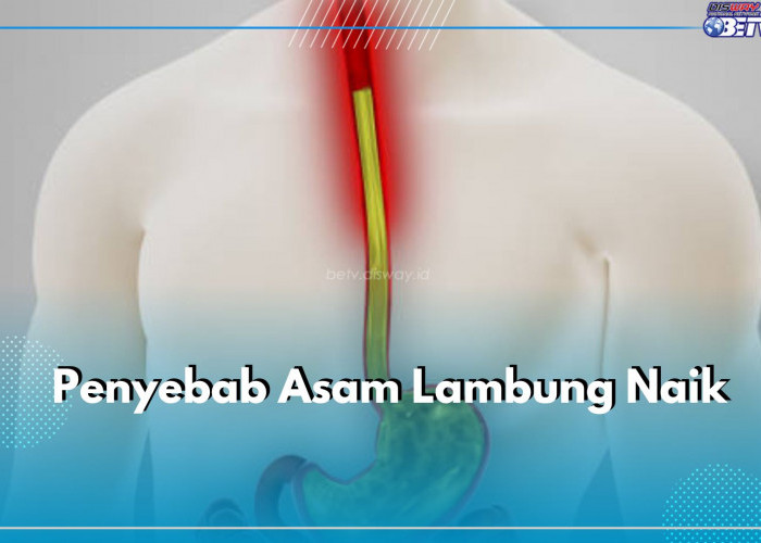 Ayo Hindari! Inilah 5 Penyebab yang Jadi Pemicu Naiknya Asam Lambung Secara Mendadak dan Cepat, Cek Disini!